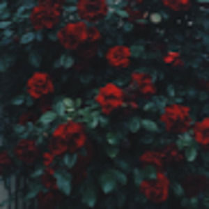 Meet your Posher, Devon